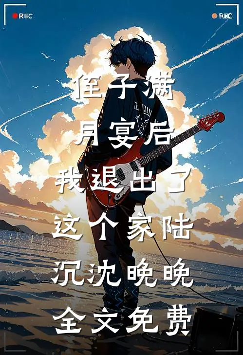 侄子满月宴后，我退出了这个家陆沉沈晚晚全文免费