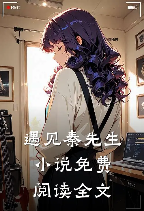 遇见秦先生小说免费阅读全文