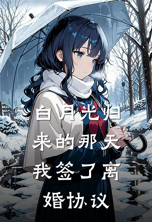 白月光归来的那天，我签了离婚协议