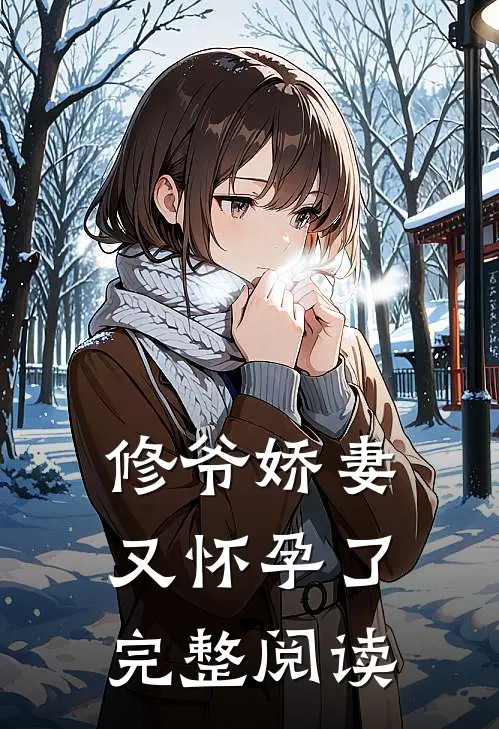 修爷娇妻又怀孕了完整阅读