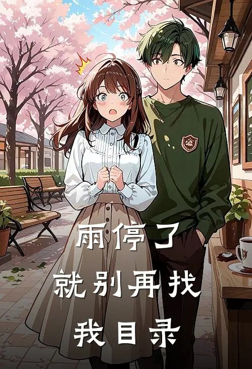 雨停了，就别再找我目录