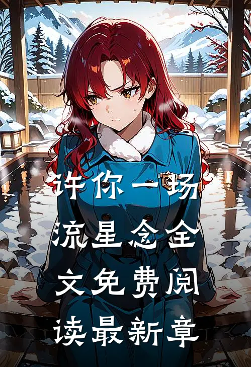 许你一场流星念全文免费阅读最新章