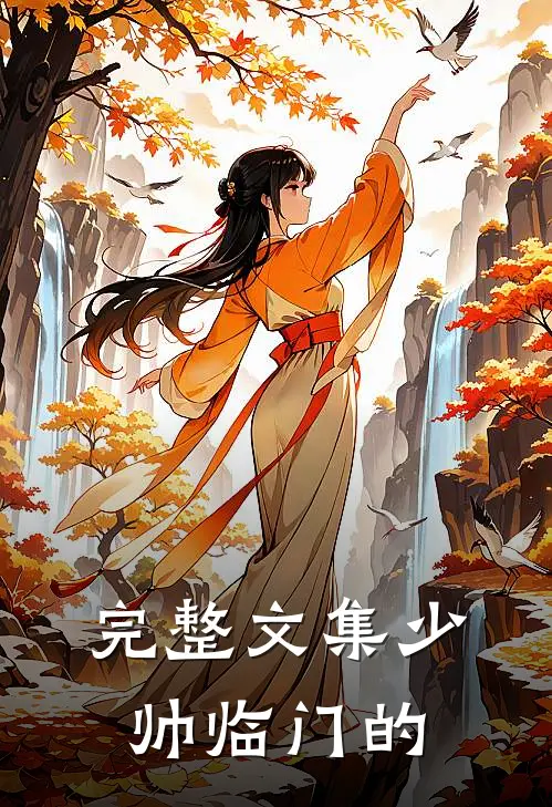 完整文集少帅临门的