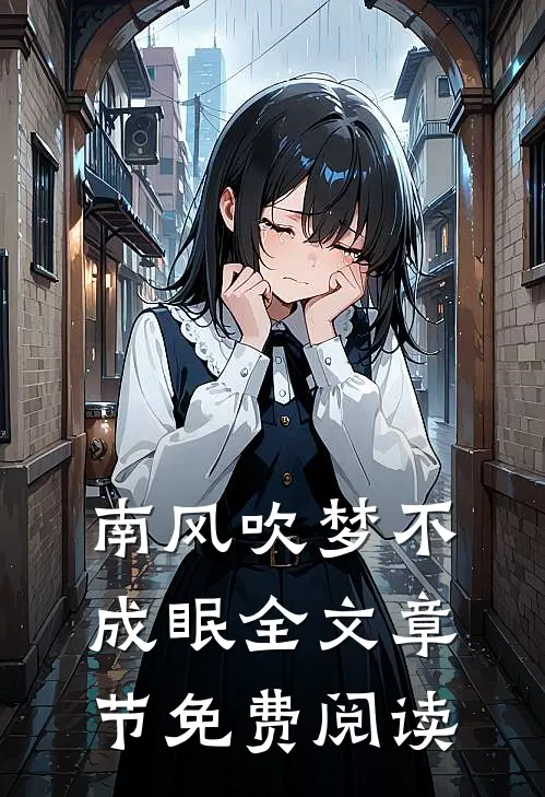 南风吹梦不成眠全文章节免费阅读