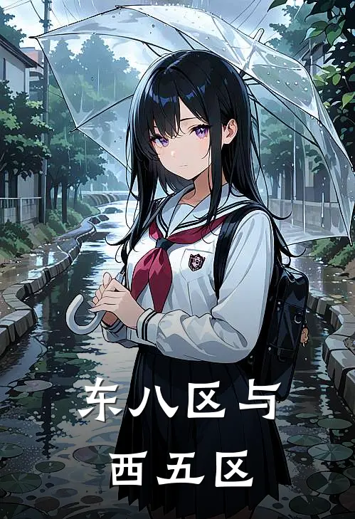 东八区与西五区