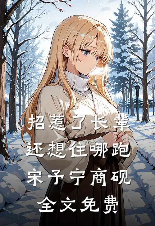 招惹了长辈，还想往哪跑宋予宁商砚全文免费