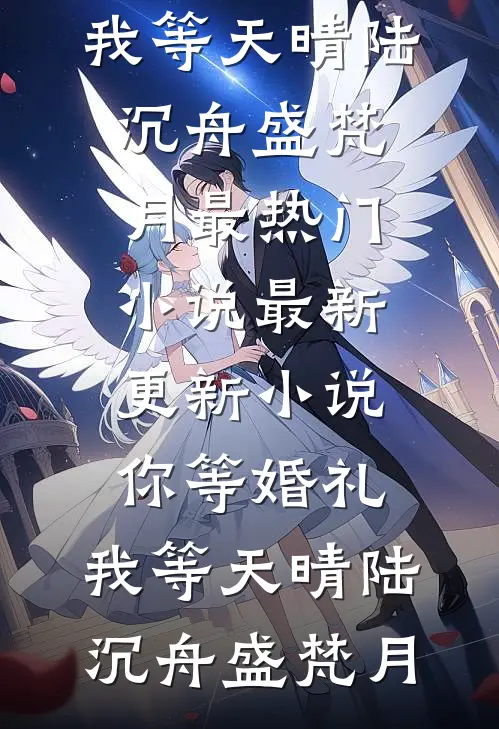 你等婚礼，我等天晴陆沉舟盛梵月最热门小说_最新更新小说你等婚礼，我等天晴陆沉舟盛梵月