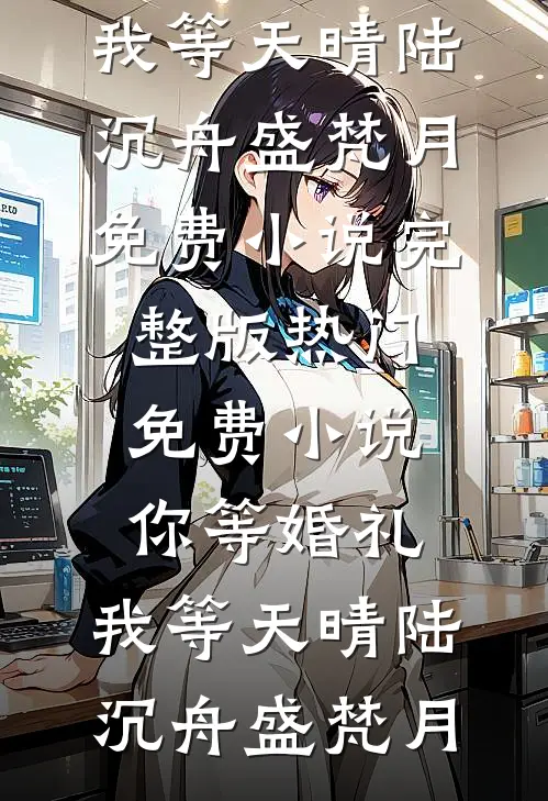 你等婚礼，我等天晴(陆沉舟盛梵月)免费小说完整版_热门免费小说你等婚礼，我等天晴陆沉舟盛梵月