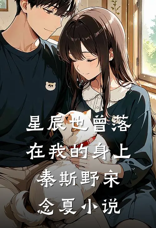 星辰也曾落在我的身上秦斯野宋念夏小说