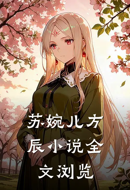苏婉儿方辰小说全文浏览