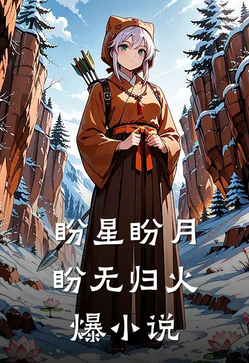 盼星盼月盼无归火爆小说