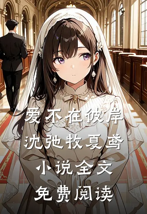 爱不在彼岸沈弛牧夏鸢小说全文免费阅读