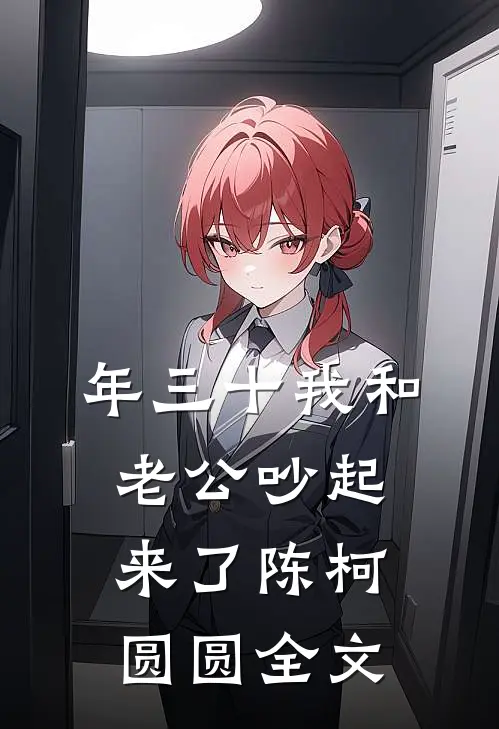 年三十我和老公吵起来了陈柯圆圆全文
