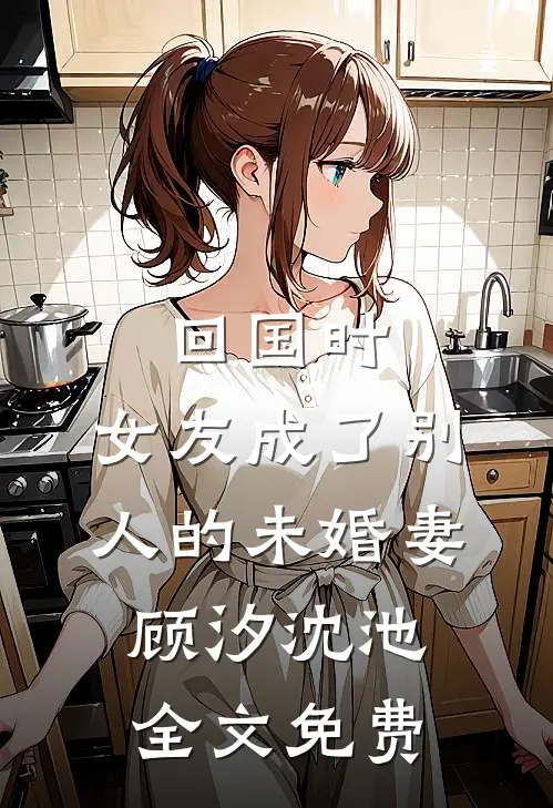 回国时，女友成了别人的未婚妻顾汐沈池全文免费