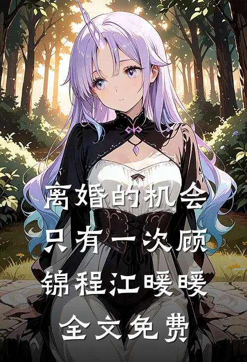 离婚的机会只有一次顾锦程江暖暖全文免费