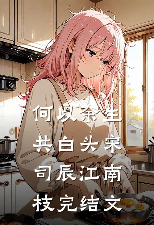 何以余生共白头宋司辰江南枝完结文