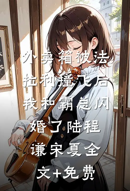 外卖箱被法拉利撞飞后，我和霸总闪婚了陆程谦宋夏全文+免费