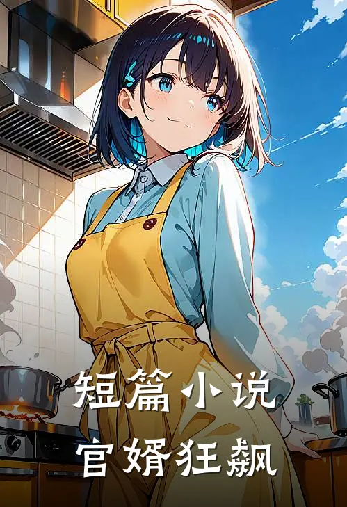 短篇小说官婿狂飙