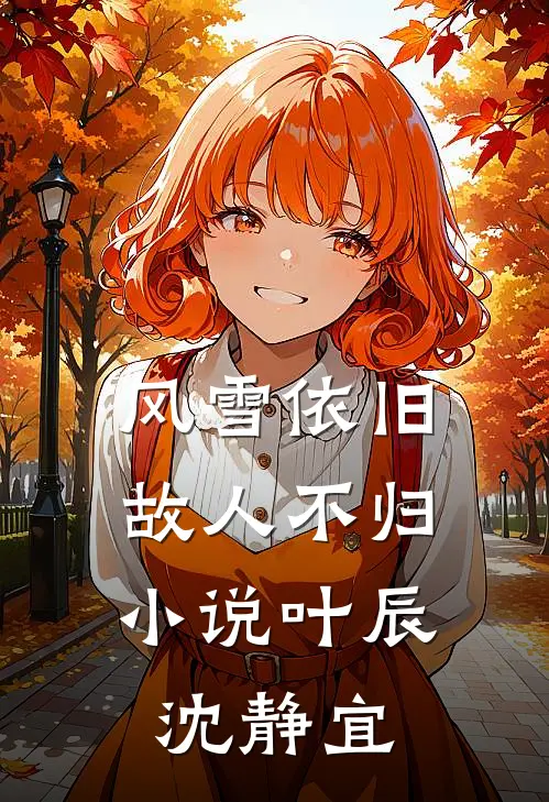 风雪依旧，故人不归小说叶辰沈静宜
