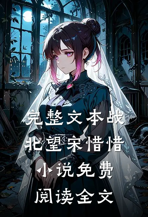 完整文本战北望宋惜惜小说免费阅读全文