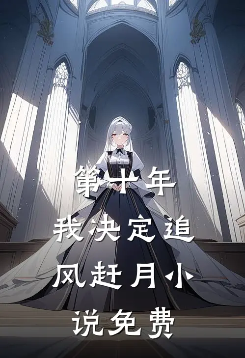 第十年，我决定追风赶月小说免费