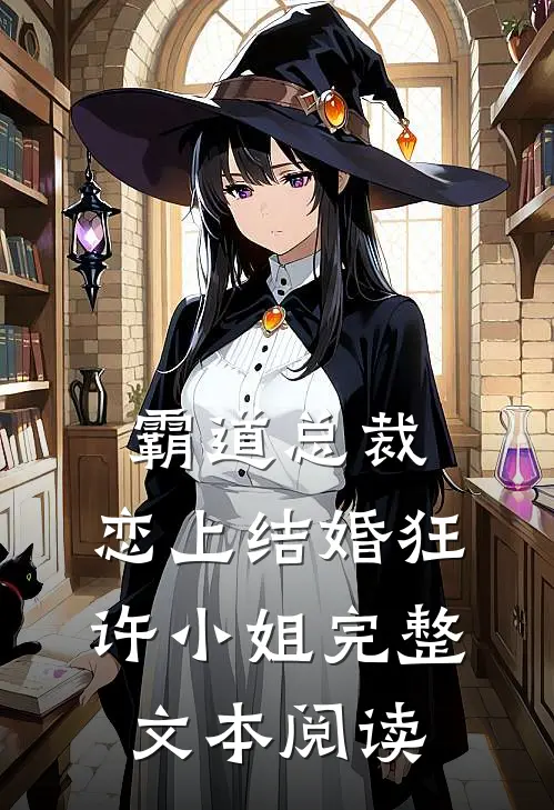 霸道总裁，恋上结婚狂许小姐完整文本阅读