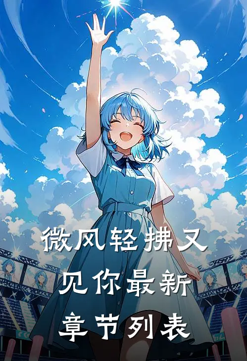 微风轻拂又见你最新章节列表