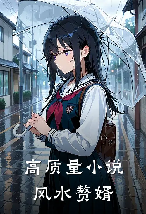 高质量小说风水赘婿