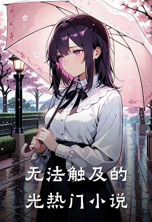 无法触及的光热门小说