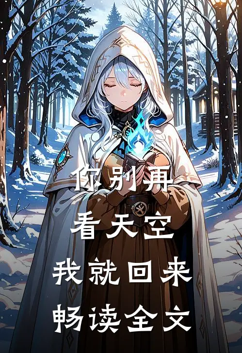 你别再看天空，我就回来畅读全文