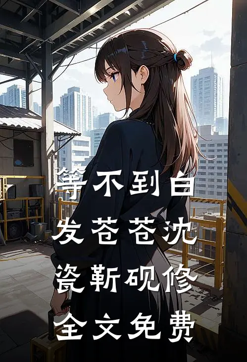 等不到白发苍苍沈瓷靳砚修全文免费