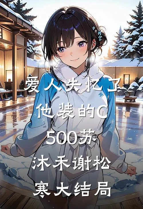 爱人失忆了，他装的C500苏沐禾谢松寒大结局