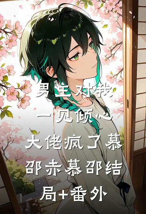 男主对我一见倾心，大佬疯了慕邵赤慕邵结局+番外