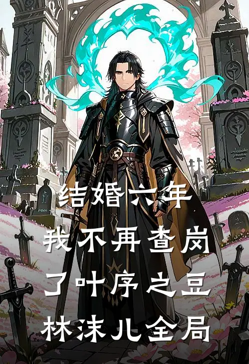 结婚六年，我不再查岗了叶序之豆林沫儿全局
