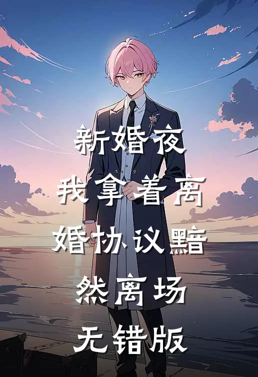 新婚夜，我拿着离婚协议黯然离场无错版
