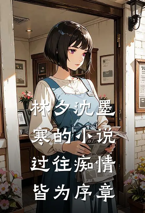 林夕沈墨寒的小说过往痴情，皆为序章