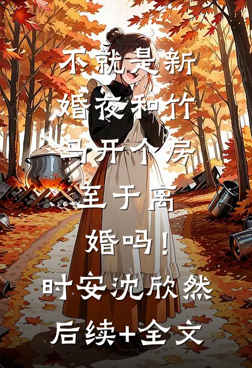 不就是新婚夜和竹马开个房，至于离婚吗！时安沈欣然后续+全文
