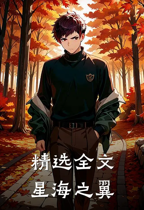精选全文星海之翼