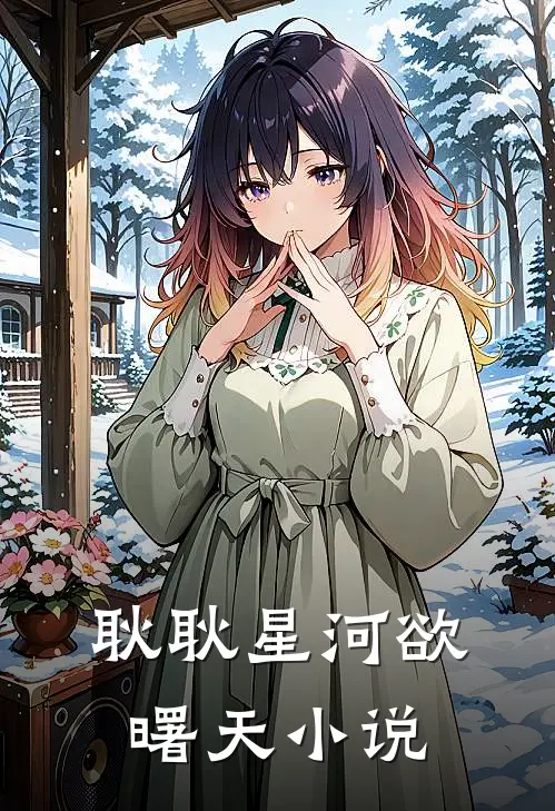 耿耿星河欲曙天小说