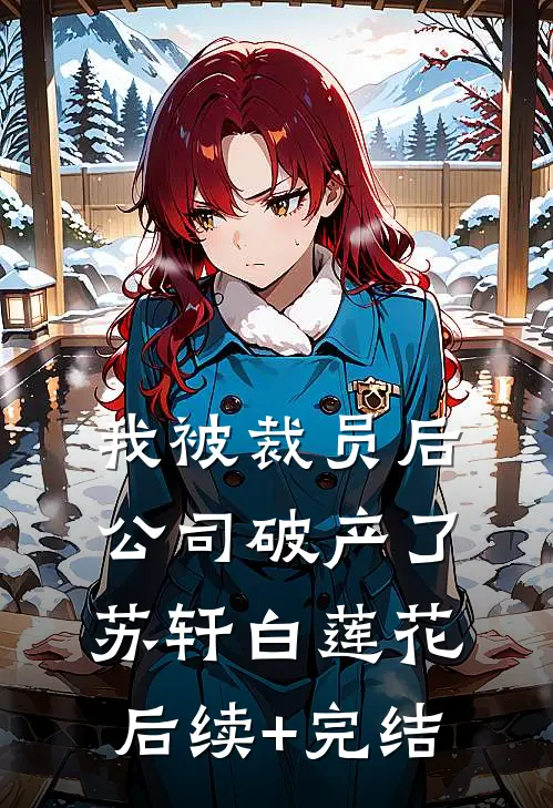 我被裁员后，公司破产了苏轩白莲花后续+完结