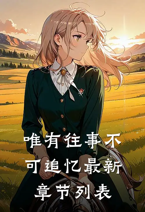 唯有往事不可追忆最新章节列表