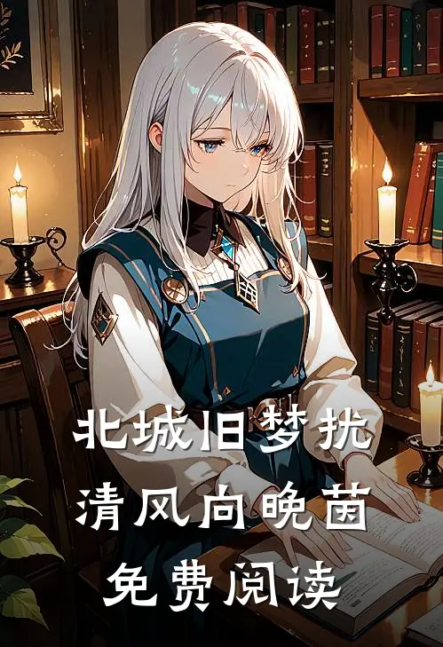 北城旧梦扰清风向晚茵免费阅读