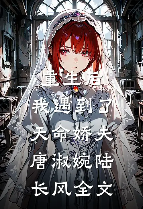 重生后,我遇到了天命娇夫唐淑婉陆长风全文免费阅读