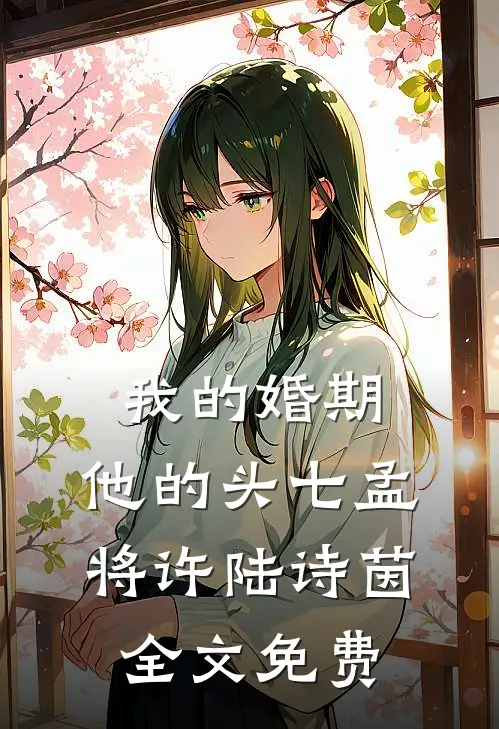 我的婚期，他的头七孟将许陆诗茵全文免费