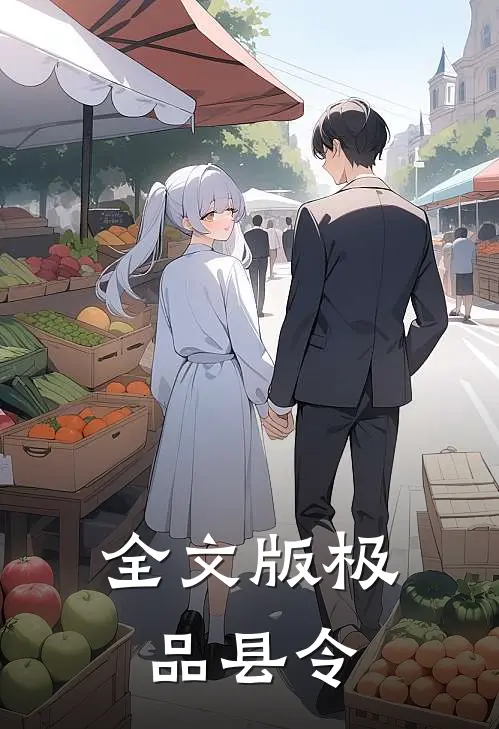 全文版极品县令