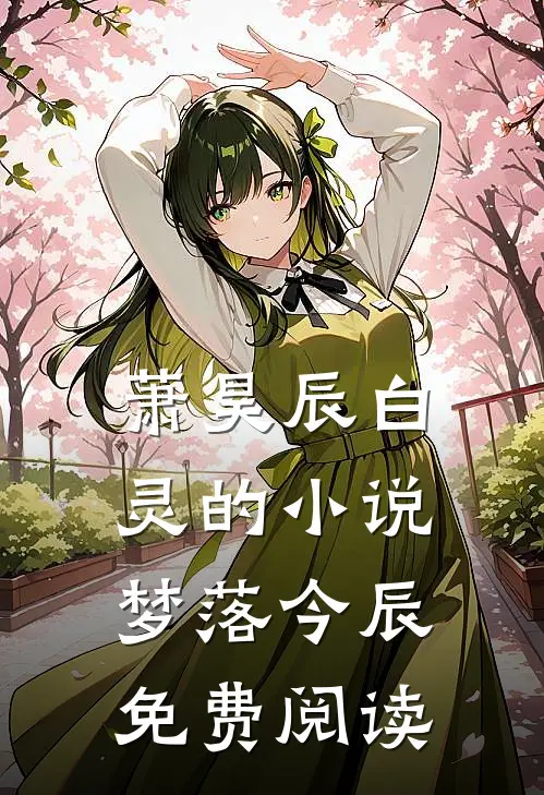 萧昊辰白灵的小说梦落今辰免费阅读