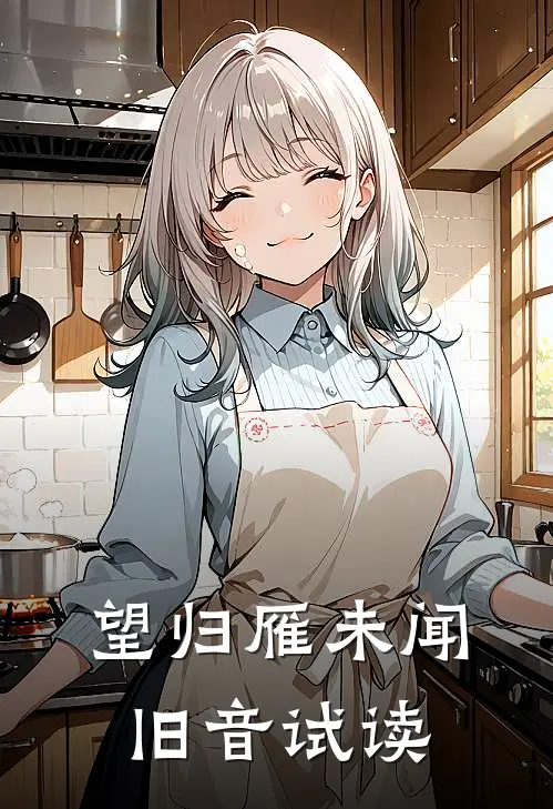 望归雁未闻旧音试读