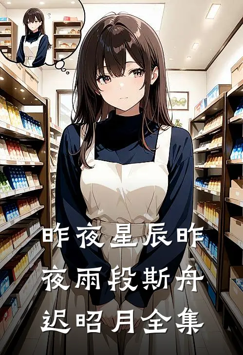 昨夜星辰昨夜雨段斯舟迟昭月全集
