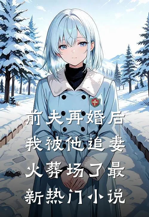 前夫再婚后，我被他追妻火葬场了最新热门小说