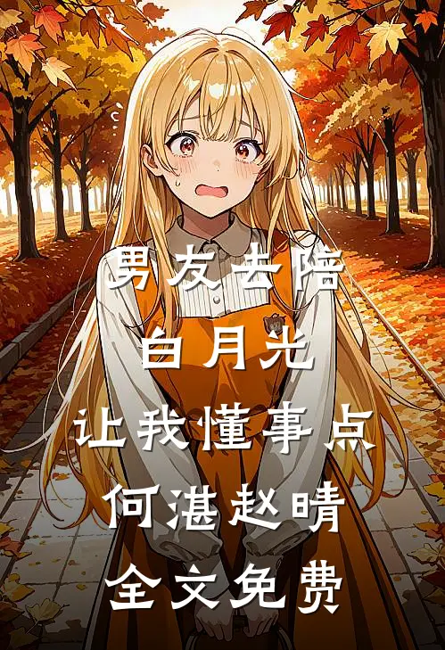 男友去陪白月光，让我懂事点何湛赵晴全文免费